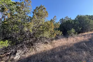 0 Lakeview Dr, Burnet, TX 78611 - Photo 3