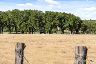 11705 Fm 439, Belton, TX 76513 - Photo 29