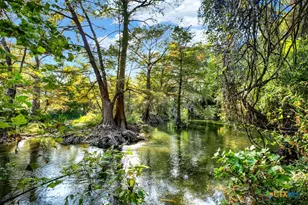 730 E Mather St, New Braunfels, TX 78130 - Photo 41