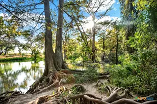 730 E Mather St, New Braunfels, TX 78130 - Photo 39