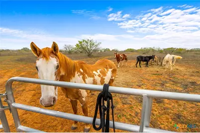 1145 Postert Lane, Floresville, TX 78114 - Photo 31