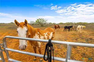 1145 Postert Ln, Floresville, TX 78114 - Photo 31