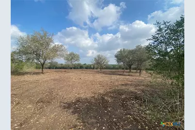 1776 Fm 1351, Goliad, TX 77963 - Photo 3