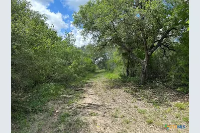 1776 Fm 1351, Goliad, TX 77963 - Photo 5