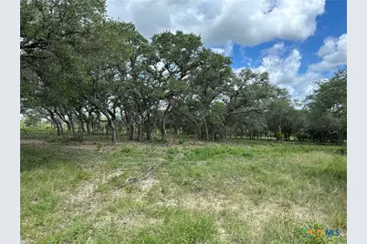 1776 Fm 1351, Goliad, TX 77963 - Photo 1