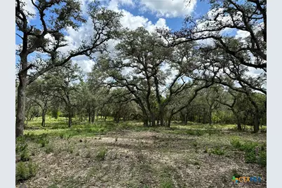 1776 Fm 1351, Goliad, TX 77963 - Photo 3