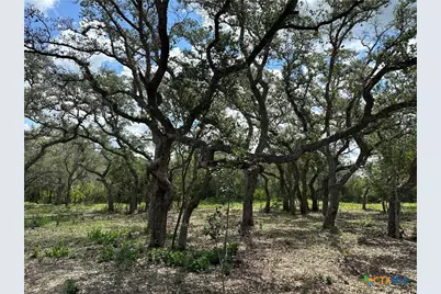 1776 Fm 1351, Goliad, TX 77963 - Photo 7