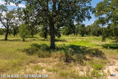 250 Ferguson Loop, Dale, TX 78616 - Photo 1