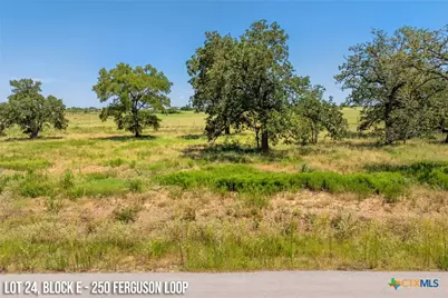 250 Ferguson Loop, Dale, TX 78616 - Photo 5