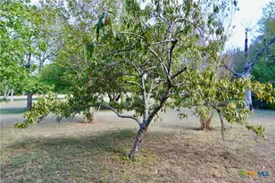 2784 Theresa Ln, Moody, TX 76557 - Photo 15