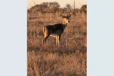 [Address not provided], Oglesby, TX 76561 - Photo 31