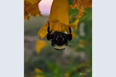 [Address not provided], Oglesby, TX 76561 - Photo 23