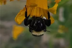 [Address not provided], Oglesby, TX 76561 - Photo 23