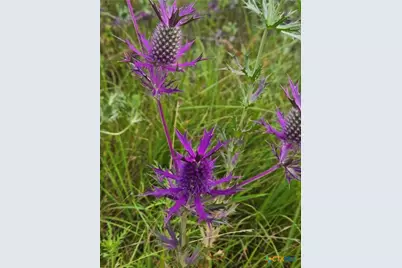 [Address not provided], Oglesby, TX 76561 - Photo 21