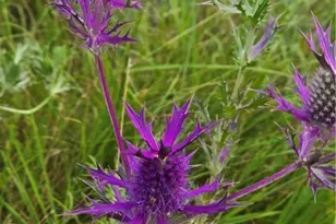 [Address not provided], Oglesby, TX 76561 - Photo 21