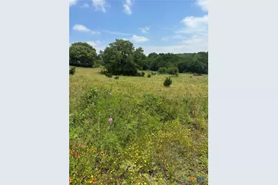 134 Yellowstone Drive, Oglesby, TX 76561 - Photo 1