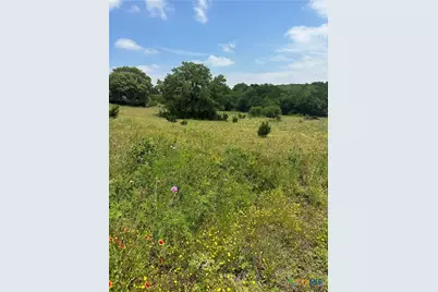 134 Yellowstone Drive, Oglesby, TX 76561 - Photo 3
