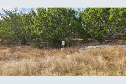 Tbd Shin Oak Drive, Lampasas, TX 76550 - Photo 3