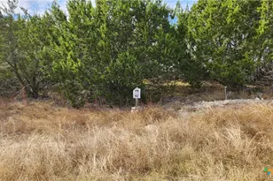 Tbd Shin Oak Dr, Lampasas, TX 76550 - Photo 3