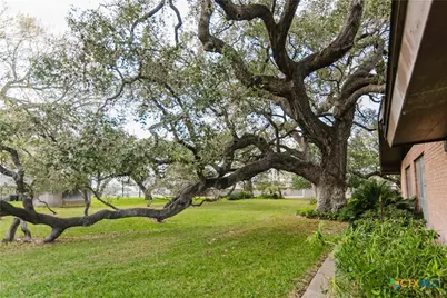 1209 Moss Lane, Cuero, TX 77954 - Photo 17