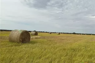 4215 Cr 226, San Saba, TX 76877 - Photo 13