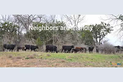 1409 Fossil Trail, Belton, TX 76513 - Photo 5