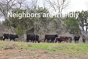 1409 Fossil Trl, Belton, TX 76513 - Photo 5