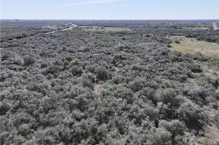 Tbd Us-183, Refugio, TX 78377 - Photo 15