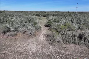 Tbd Us-183, Refugio, TX 78377 - Photo 35