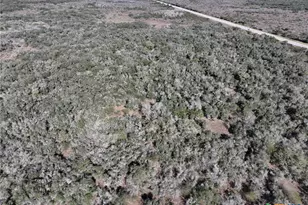 Tbd Us-183, Refugio, TX 78377 - Photo 29