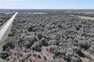 Tbd Us-183, Refugio, TX 78377 - Photo 13