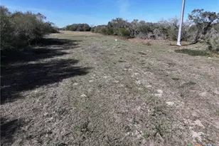 Tbd Us-183, Refugio, TX 78377 - Photo 31
