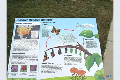 301 Dober Street, Nolanville, TX 76559 - Photo 31