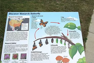 301 Dober St, Nolanville, TX 76559 - Photo 31