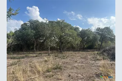 1776 Fm 1351, Goliad, TX 77963 - Photo 7