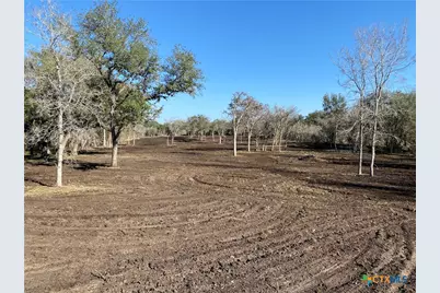 1776 Fm 1351, Goliad, TX 77963 - Photo 3
