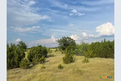 Tbd County Road 421, Evant, TX 76525 - Photo 5