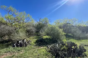 1218 Private Rd 1377, Lampasas, TX 76550 - Photo 39