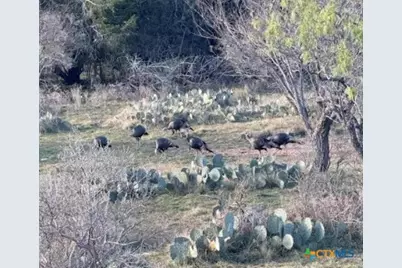 1218 Private Road 1377, Lampasas, TX 76550 - Photo 5