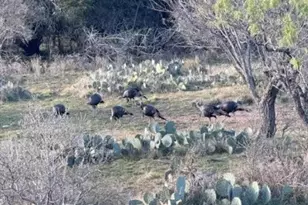 1218 Private Rd 1377, Lampasas, TX 76550 - Photo 5