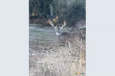 1218 Private Road 1377, Lampasas, TX 76550 - Photo 1