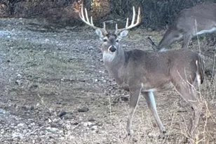 1218 Private Rd 1377, Lampasas, TX 76550 - Photo 1