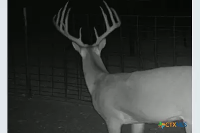 1218 Private Road 1377, Lampasas, TX 76550 - Photo 7