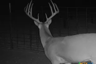 1218 Private Rd 1377, Lampasas, TX 76550 - Photo 7