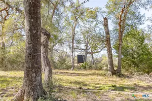 725 Private Rd 1581, Hallettsville, TX 77964 - Photo 9