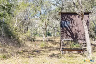 725 Private Rd 1581, Hallettsville, TX 77964 - Photo 7