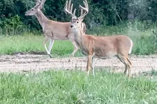 725 Private Rd 1581, Hallettsville, TX 77964 - Photo 35