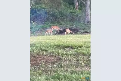 725 Private Road 1581, Hallettsville, TX 77964 - Photo 39