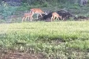 725 Private Rd 1581, Hallettsville, TX 77964 - Photo 39