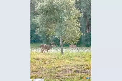 725 Private Road 1581, Hallettsville, TX 77964 - Photo 21